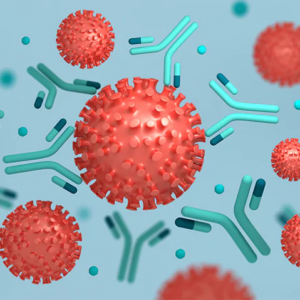 Neutralizing Antibody Panel